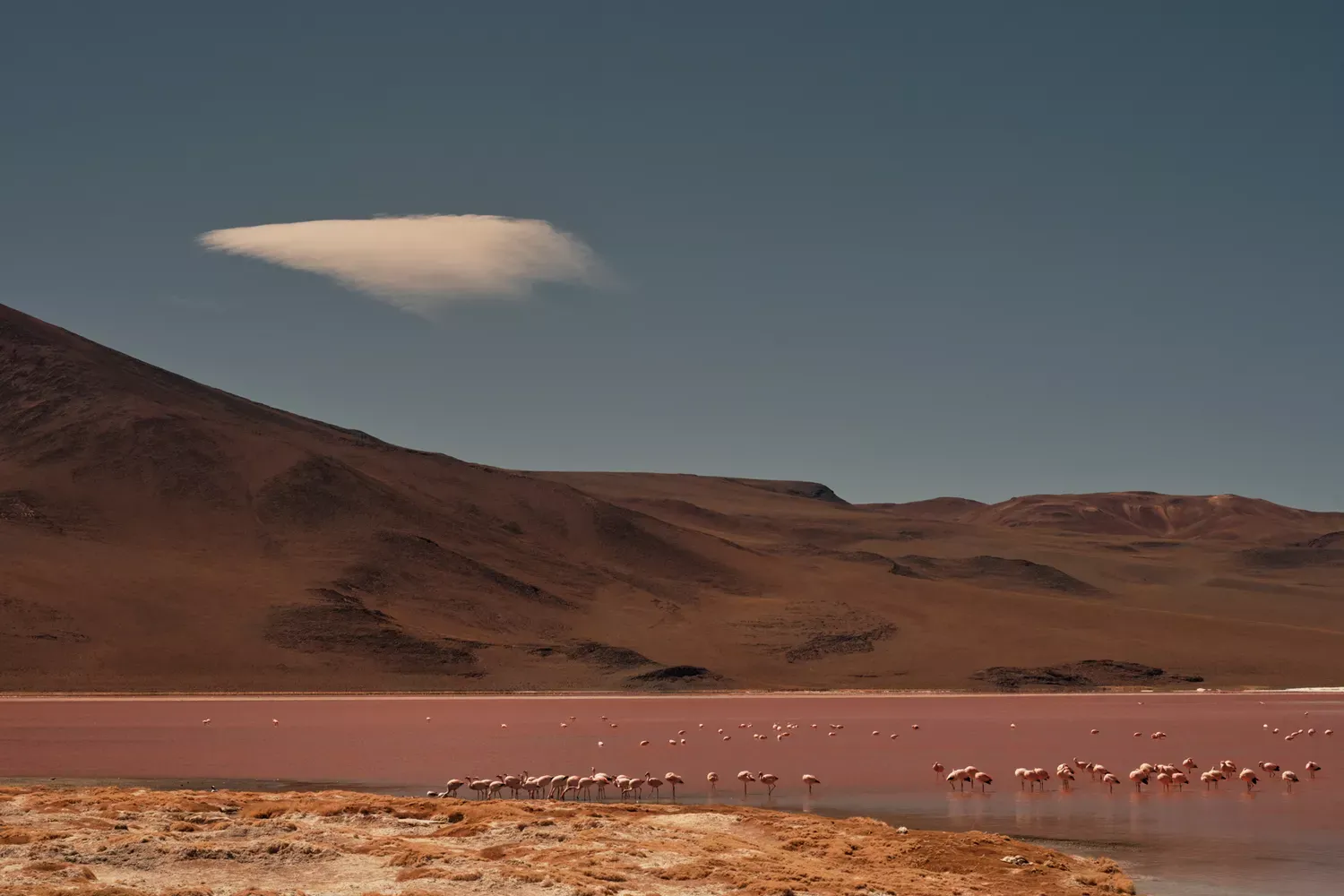 I Went On a Road Trip From Chile’s Atacama Desert to Bolivia’s Salt Flats — Here’s How You Can, Too