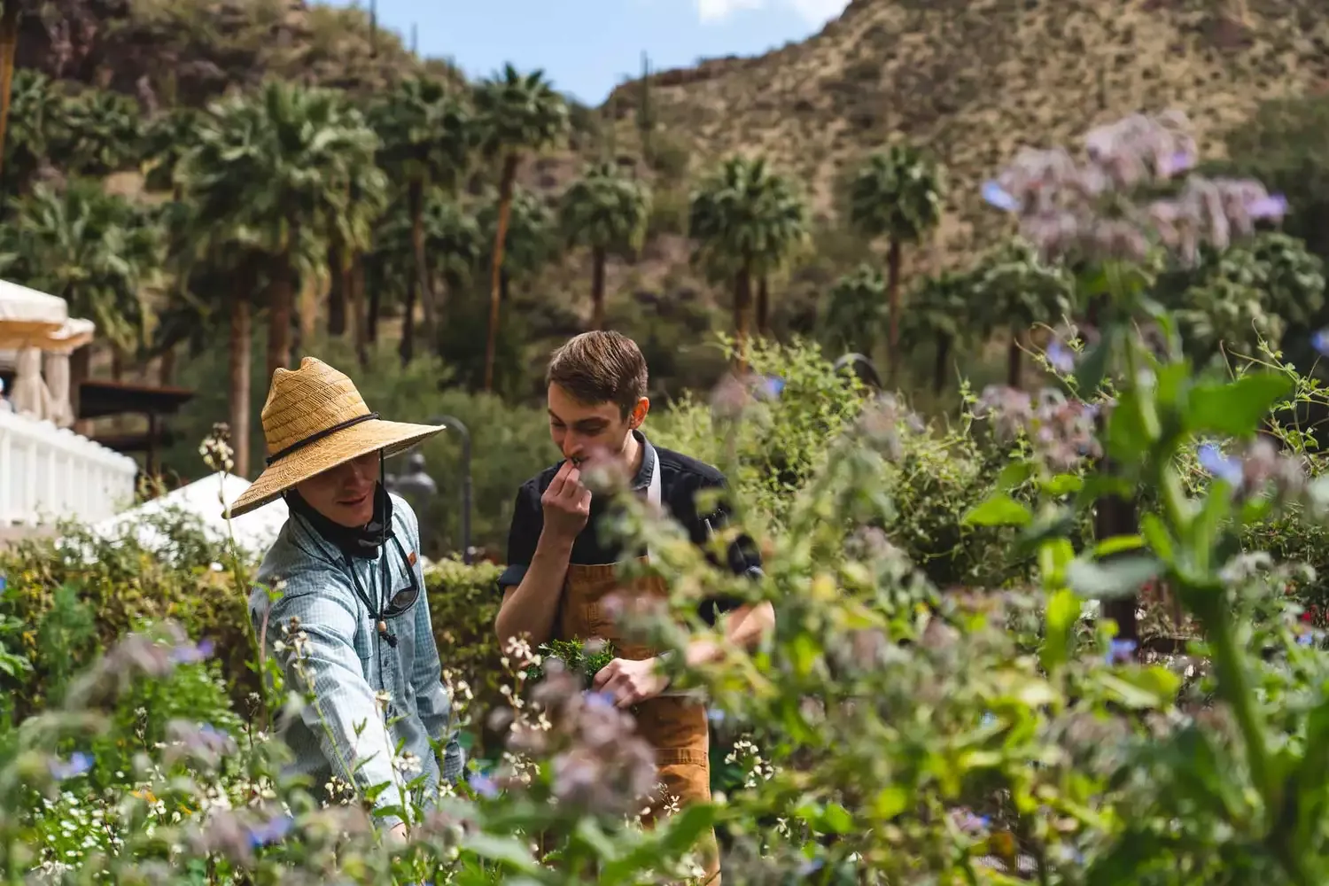 The Best Resort in Arizona Is Known for Its Exceptional Hot Springs — and Now Has Sound Baths, Gardening Workshops, and E-bike Tours