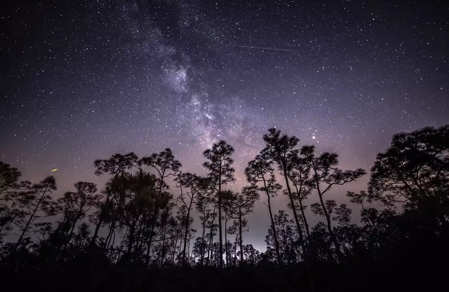 Shooting Stars From the Famous Halley's Comet Will Rain Down on Earth This Week — How to See Them