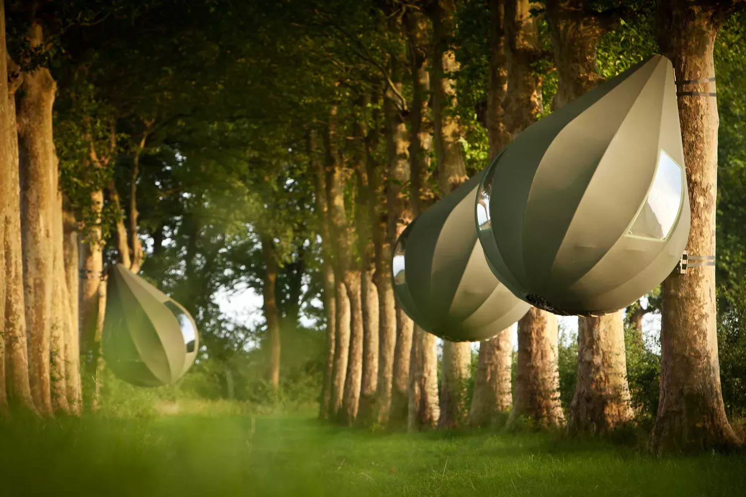 You Can Sleep in a Teardrop-shaped Tent Hanging in a Tree in Belgium