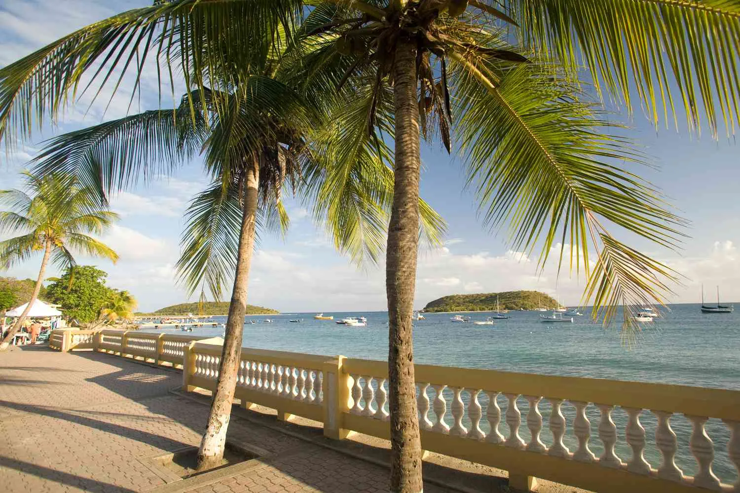 How to Plan the Perfect Trip to Vieques, Puerto Rico