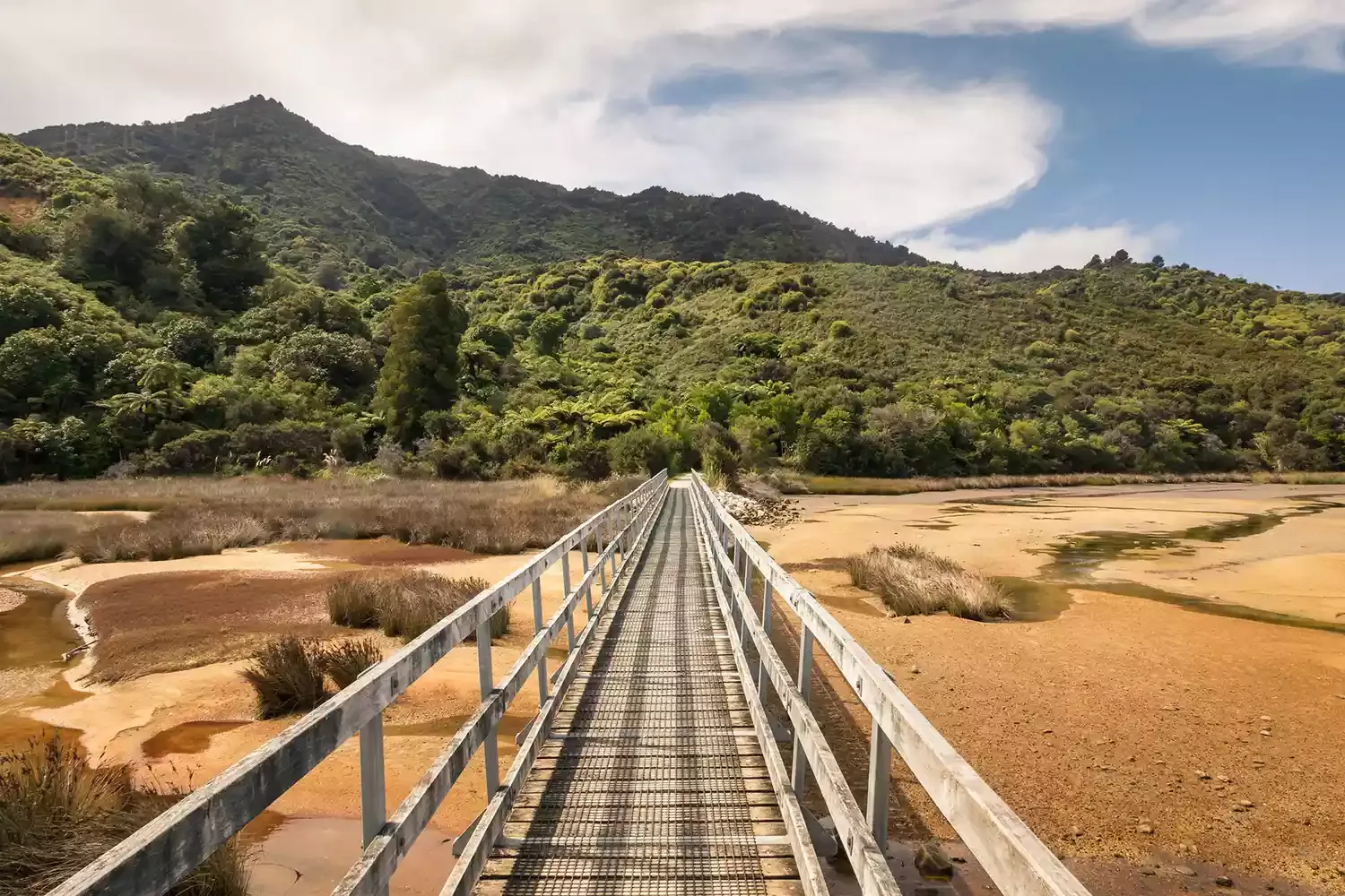 10 Stunning Hiking Trails and Great Walks in New Zealand