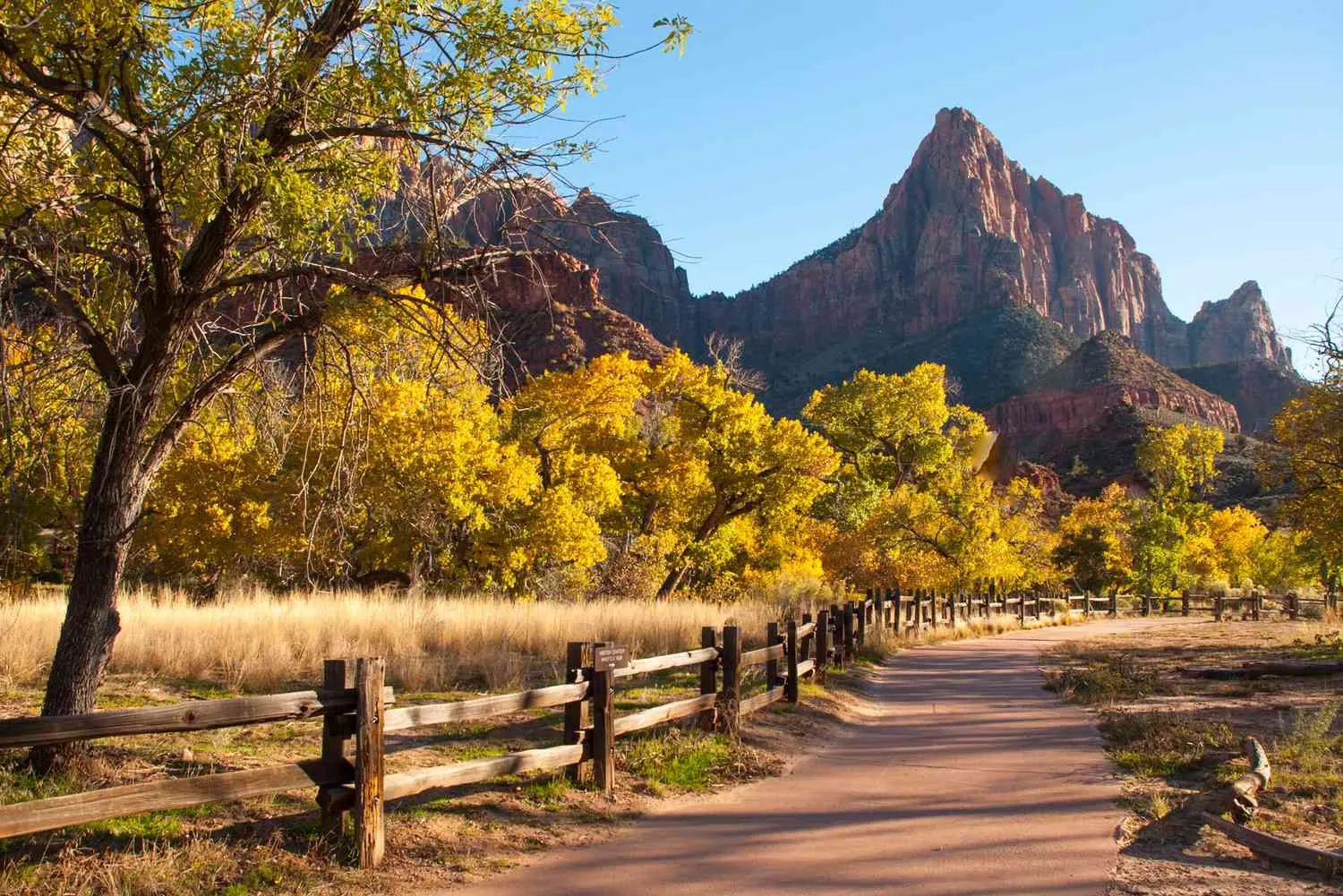 10 Wheelchair-friendly Trails Through the Country's Best National Parks