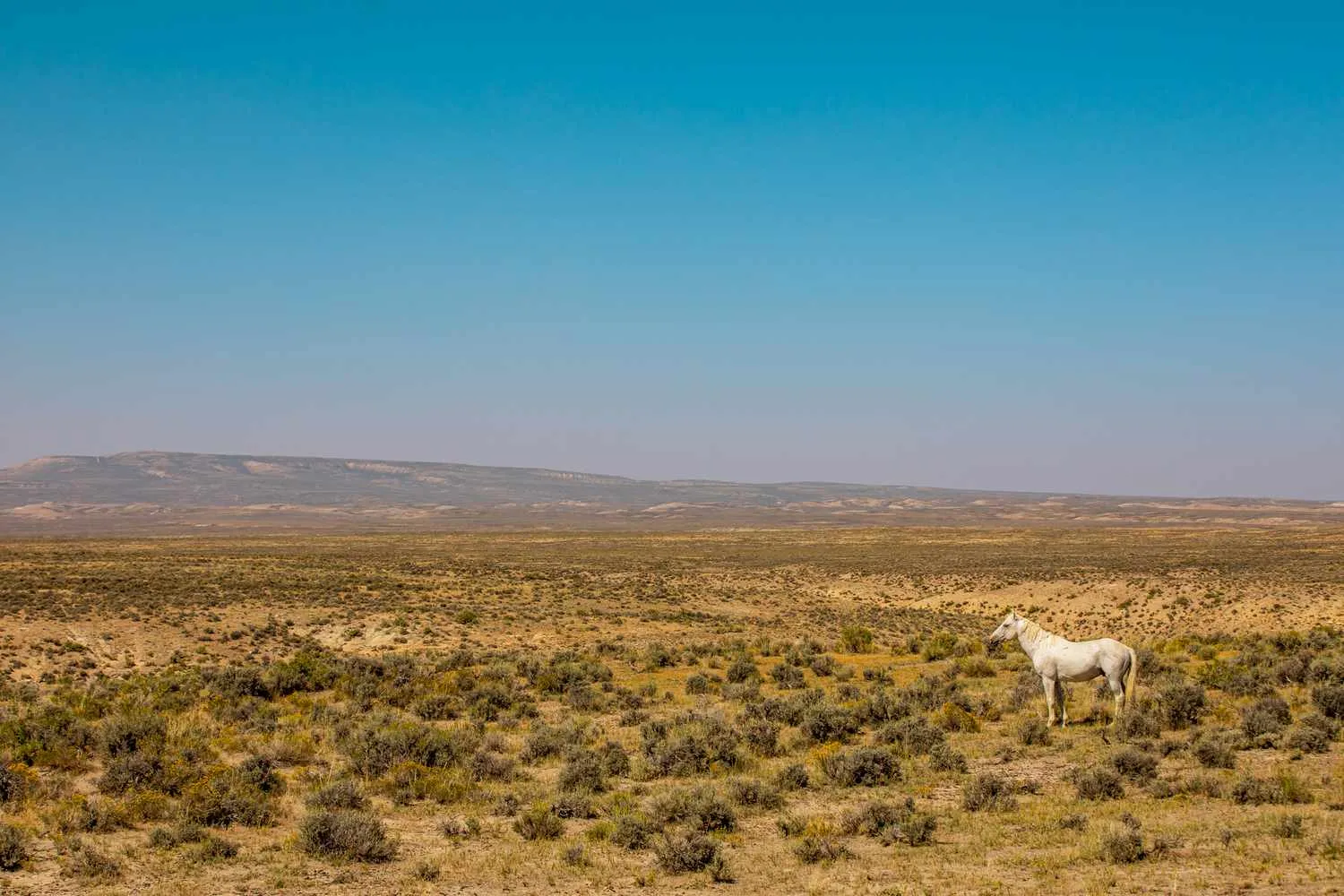 This Colorado County Is Home to Wild Horses and Canyons With Dinosaur Tracks — Here’s How to Explore It