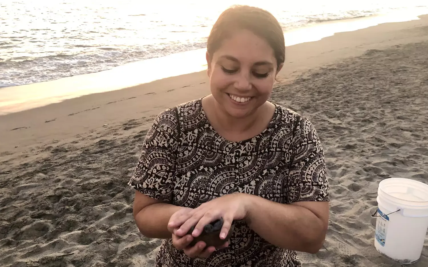 This Hotel in Puerto Vallarta Is Rescuing Baby Sea Turtles — and Guests Can Help Release Them Into the Wild (Video)