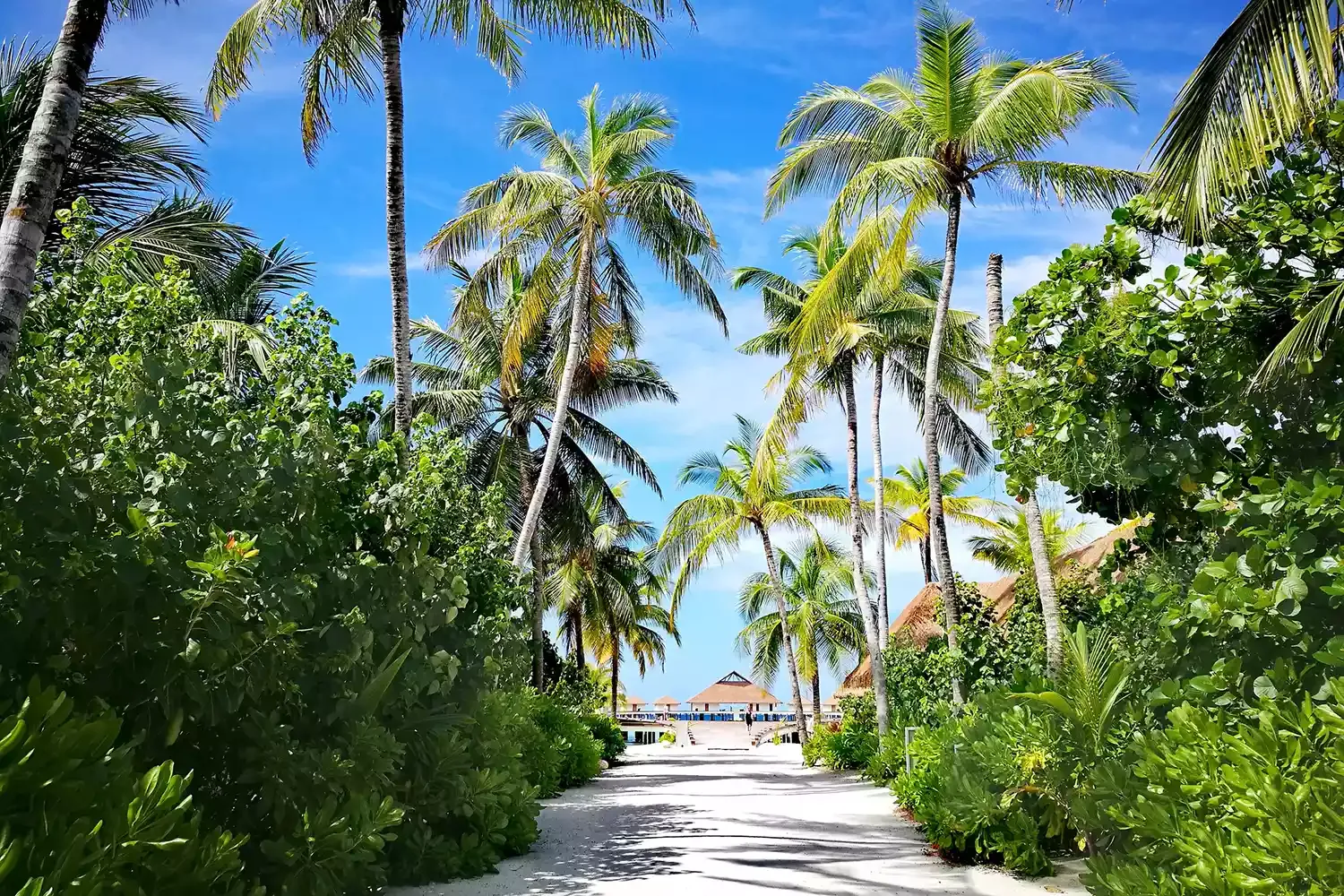 The Best Time to Visit the Maldives