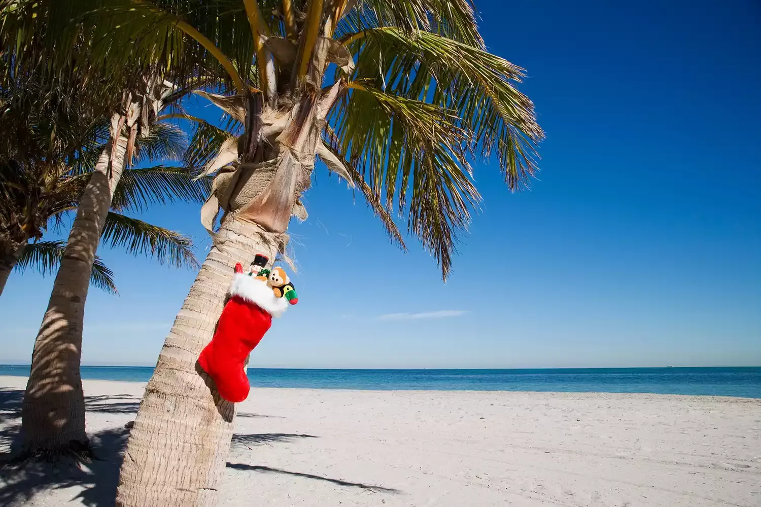 13 Ways to Celebrate Christmas in Florida, From Disney Parties to Boat Parades