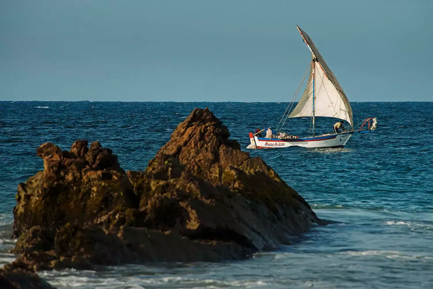 This Iconic South American Country Got a New National Reserve — and It's a Whale-watcher's Paradise