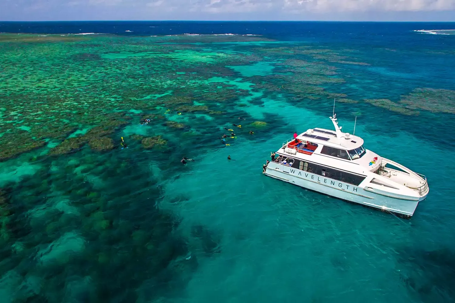 I Followed Teams of Scientists on a Mission to Save Australia’s Great Barrier Reef — Here’s What I Learned