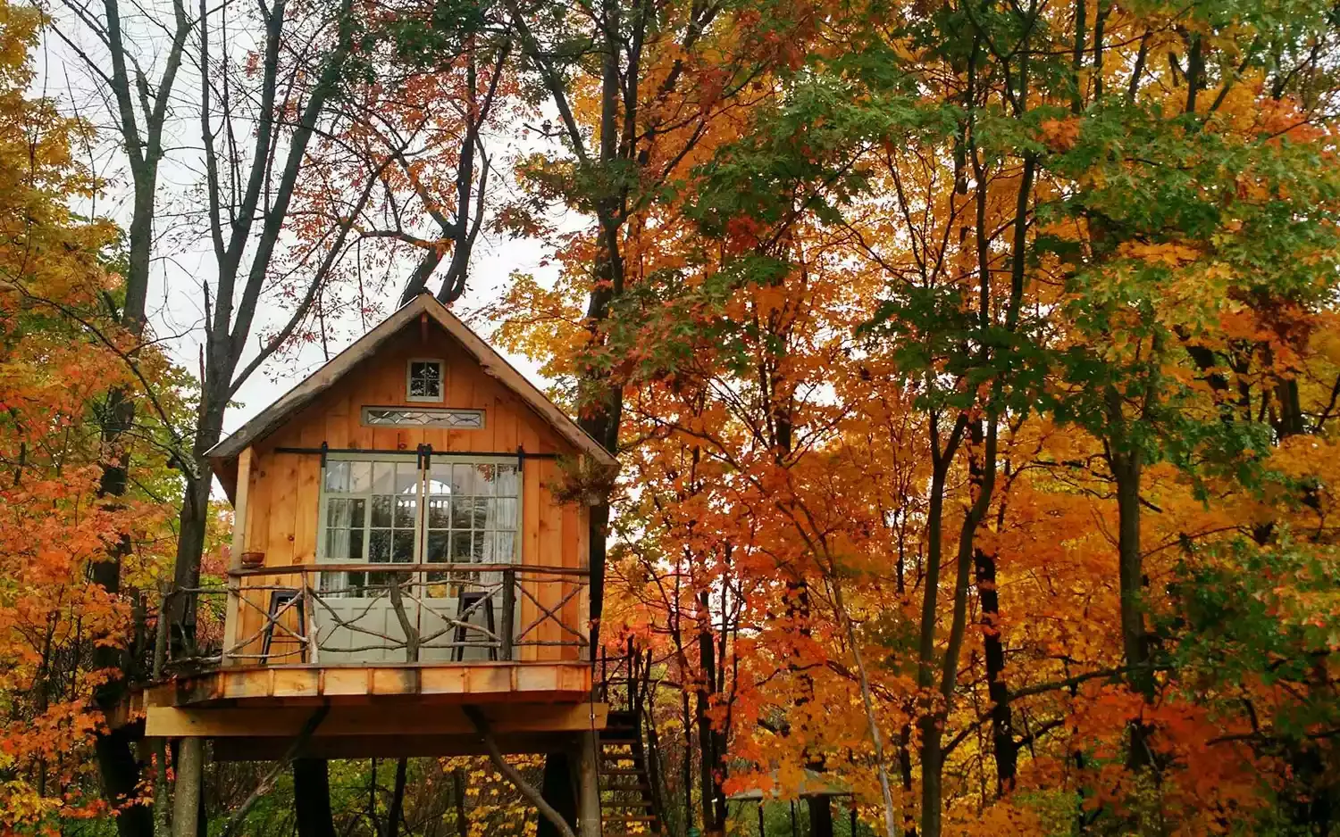 12 Treetop Airbnbs With Breathtaking Fall Foliage Views