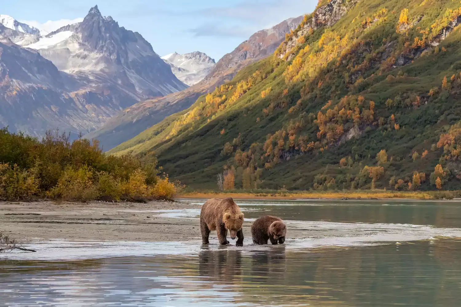 This Remote National Park in Alaska Has a Grizzly Bear Camp — Here's What It's Like to Spend the Night