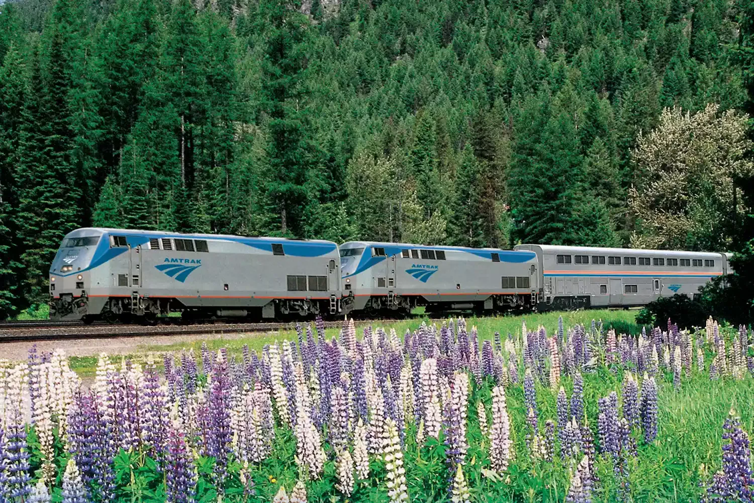 This Train Goes From New York City to Montreal Through Some of the Most Beautiful Scenery on the East Coast — and It Relaunches Today