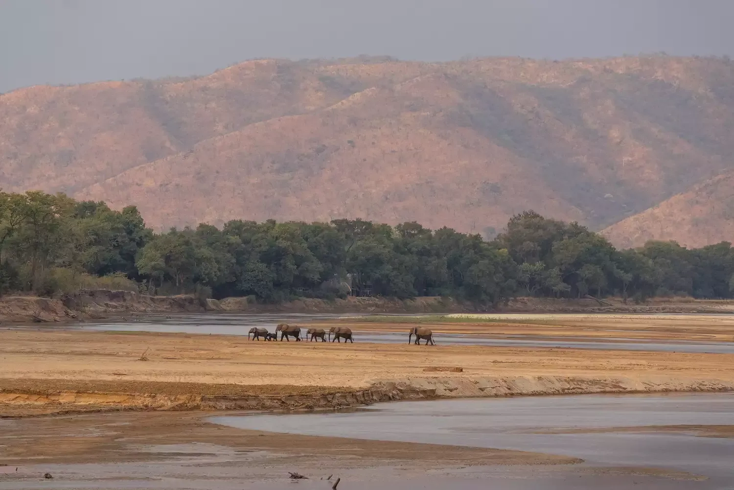 As a Black American Who Had Never Been on Safari, I Had Doubts — but a Trip to Zambia Changed My Mind