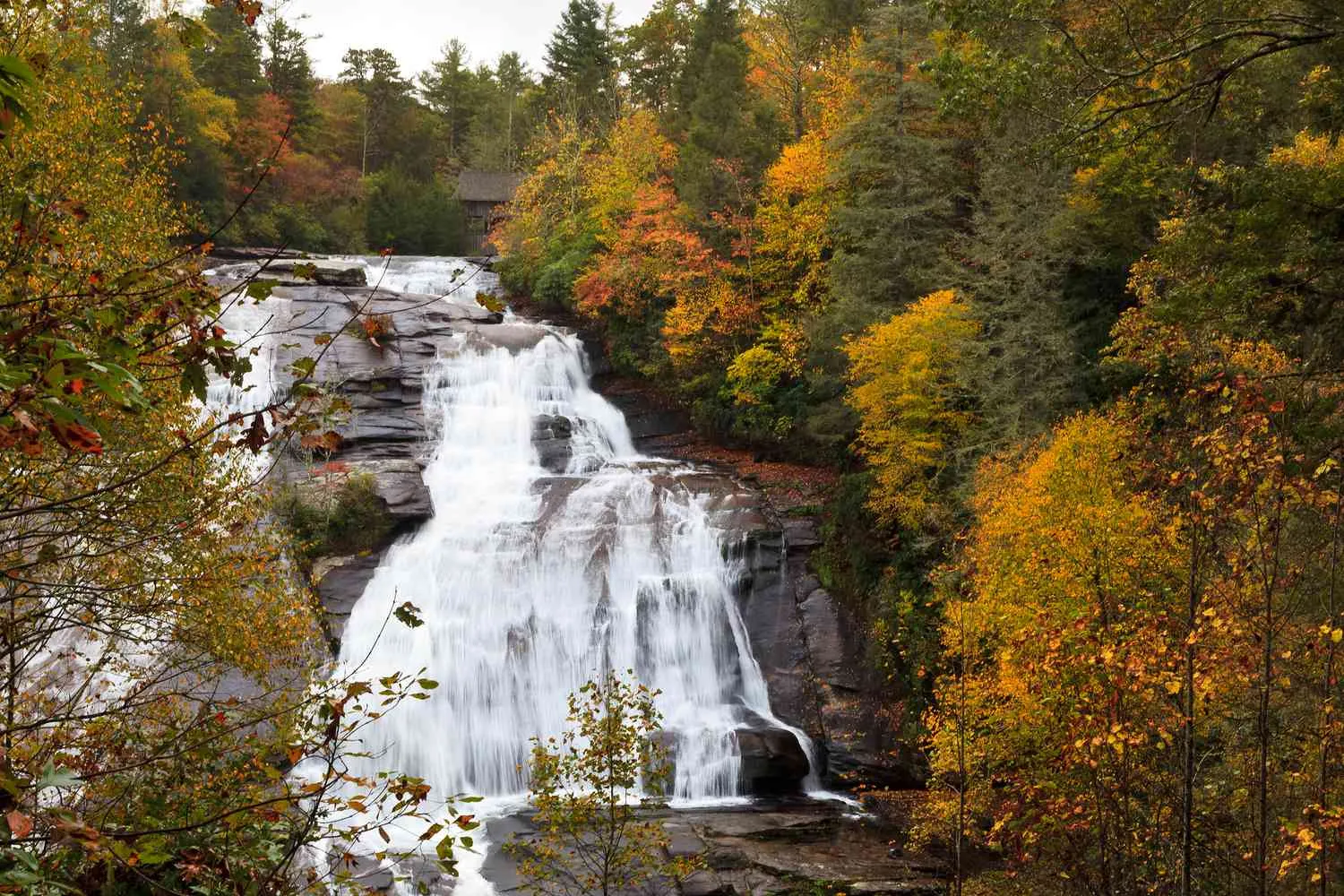 10 Best Places to See Fall Foliage in North Carolina