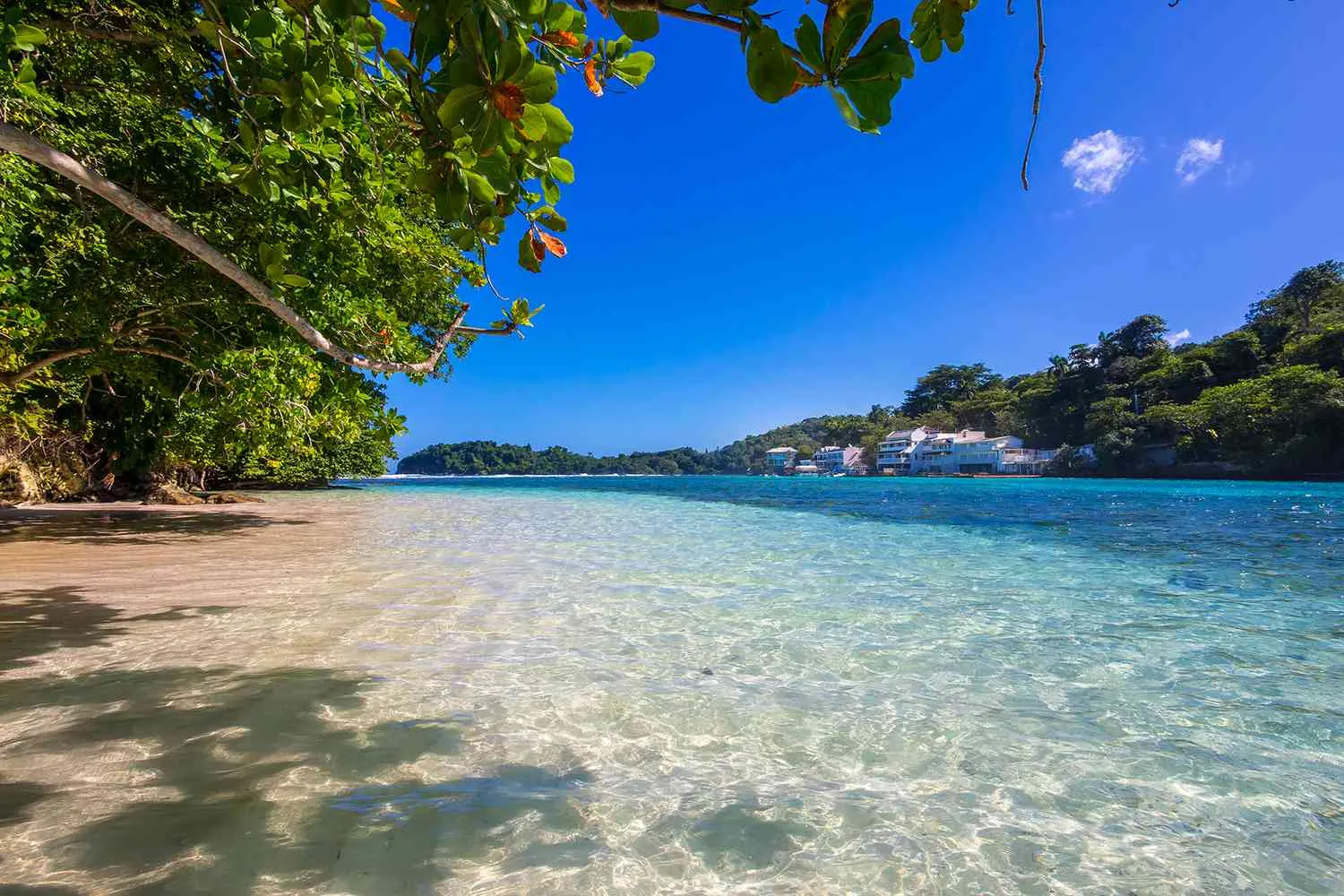 This Little-known Clear Lagoon in Jamaica Is One of the Most Beautiful Places in the World — and It's Said to Be Bottomless