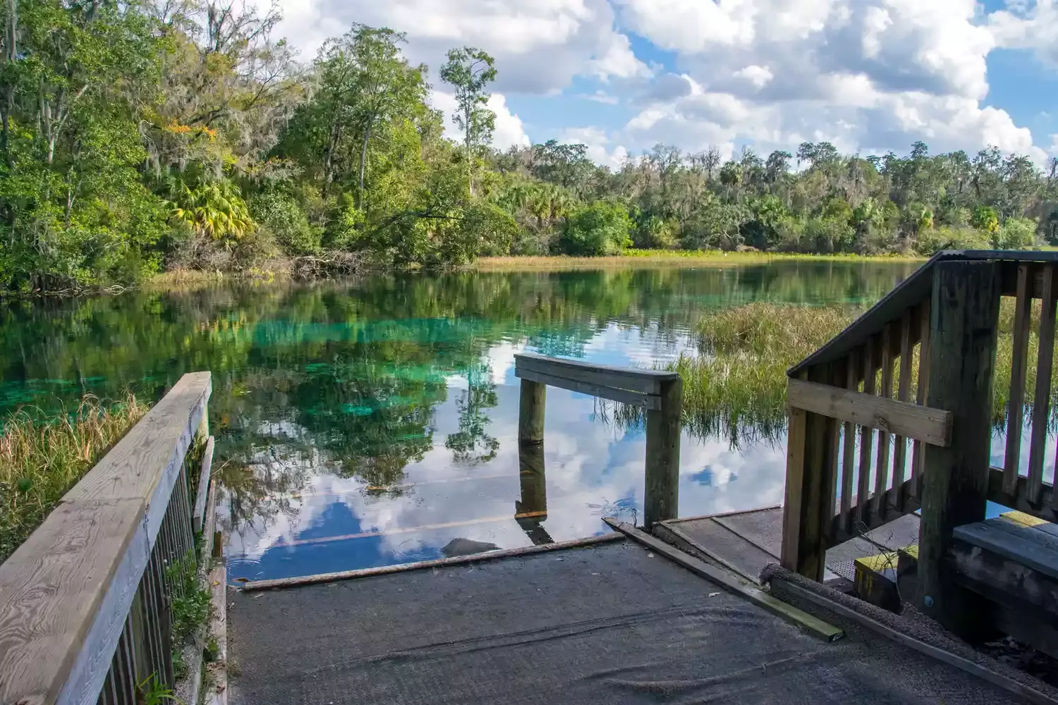 This Florida State Park Has a Turquoise Spring With Gin-clear, 72-degree Waters — and It's Full of Manatees at This Time of Year