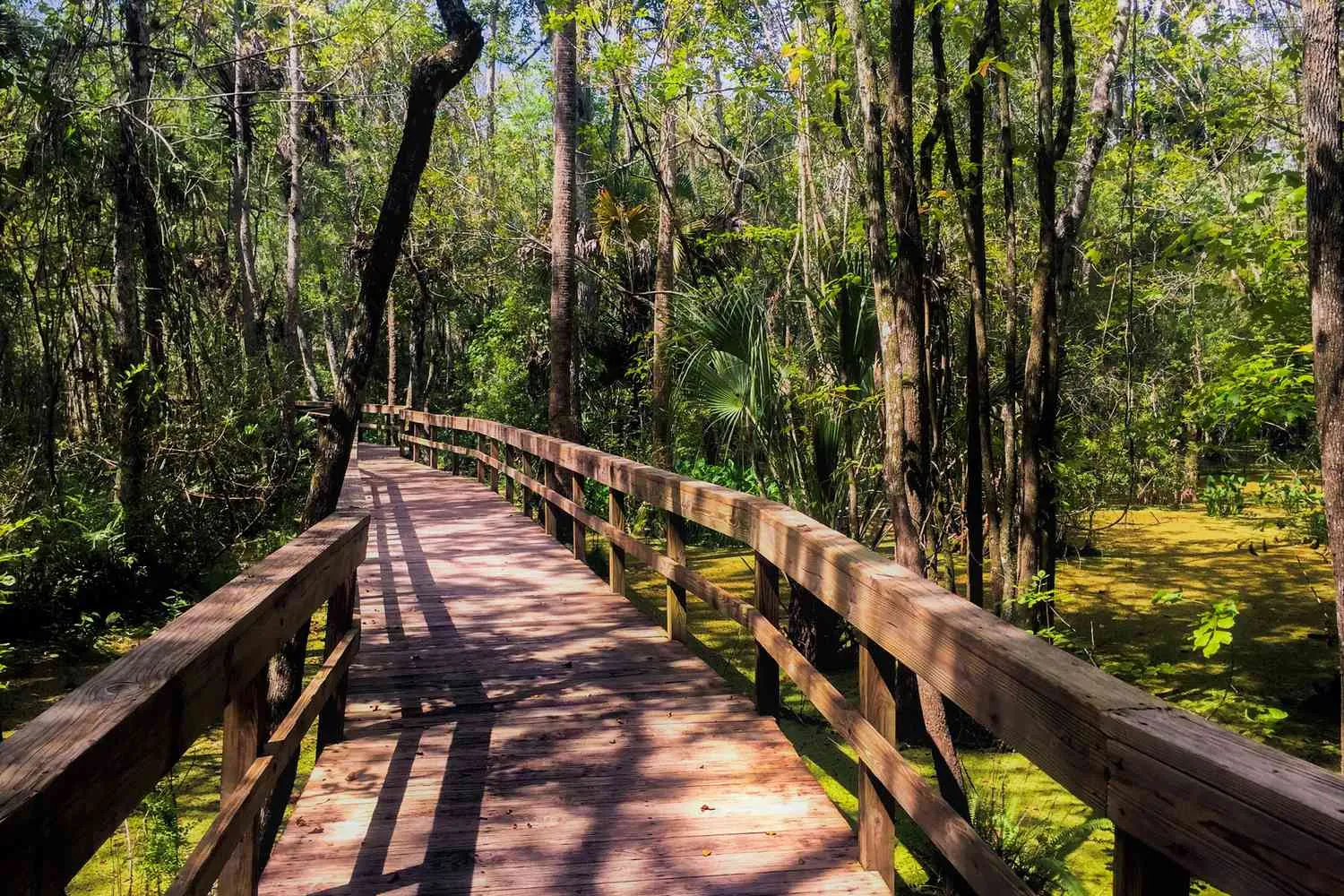 I've Lived in Florida for 27 Years — and These Are the Best State Parks to Visit