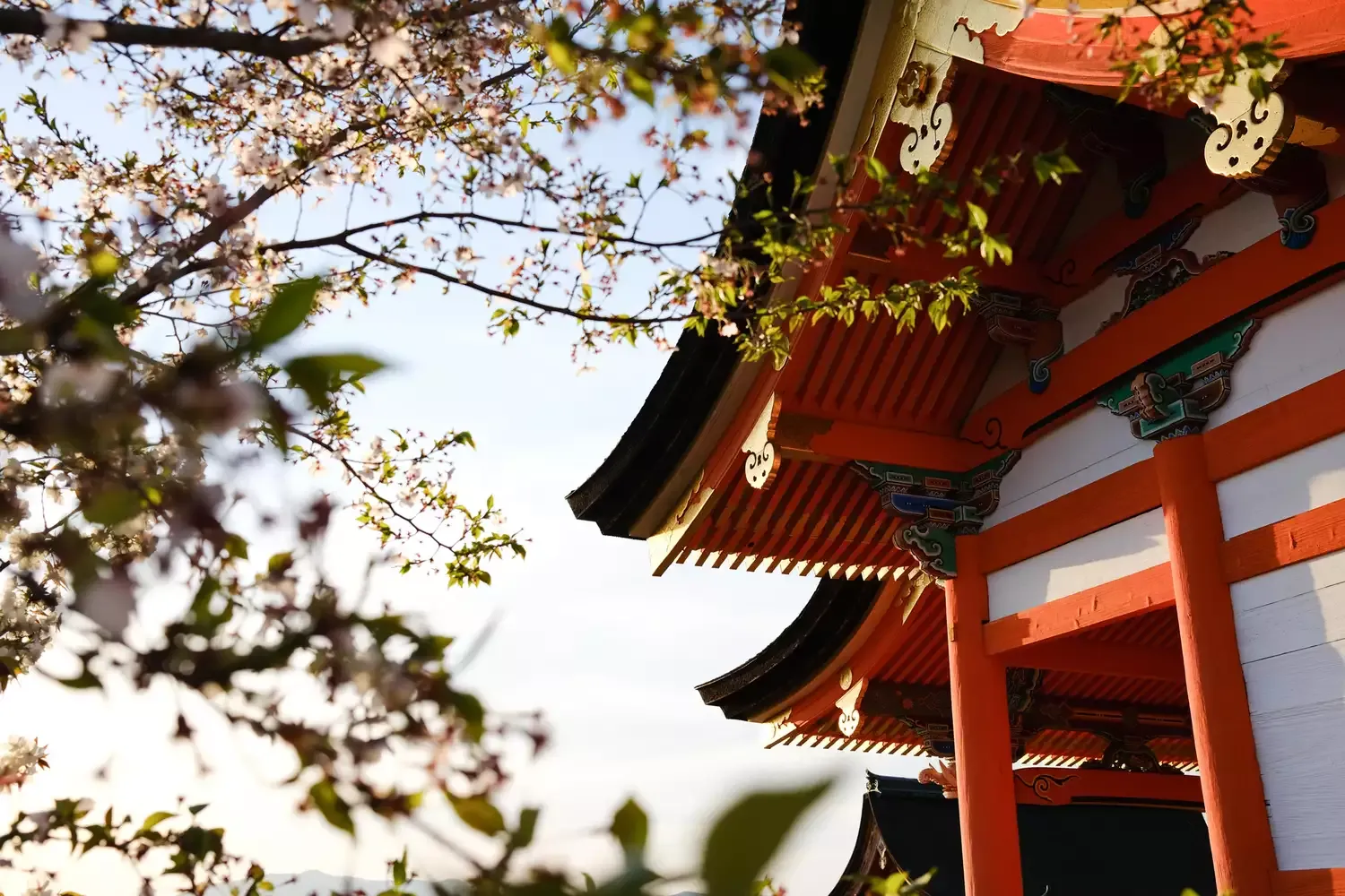 These Are the Cheapest Times to Fly to Japan — Plus Tips for Exploring on a Budget