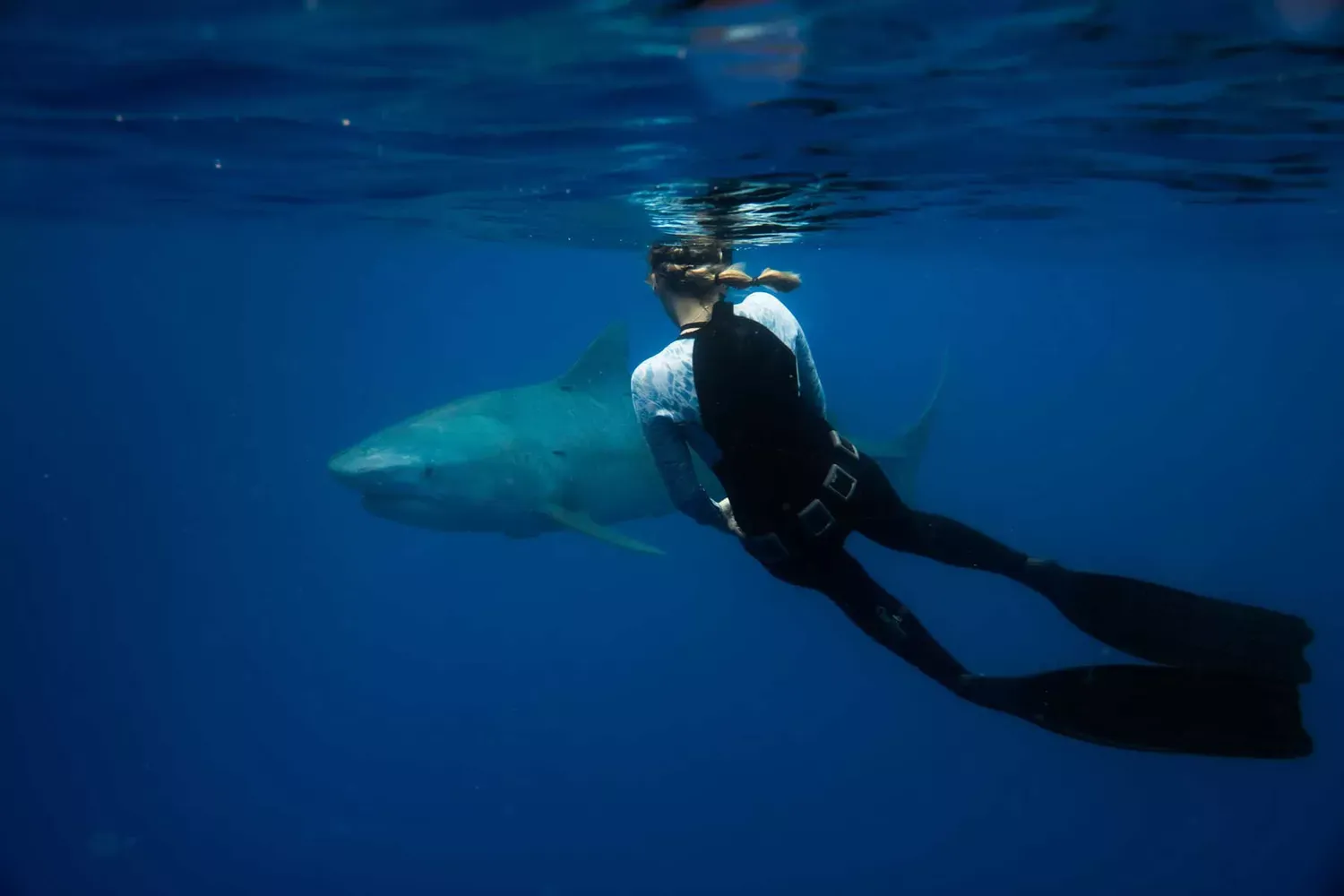 11 Tips to Keep You Safe From Sharks, According to a Shark Safety Diver