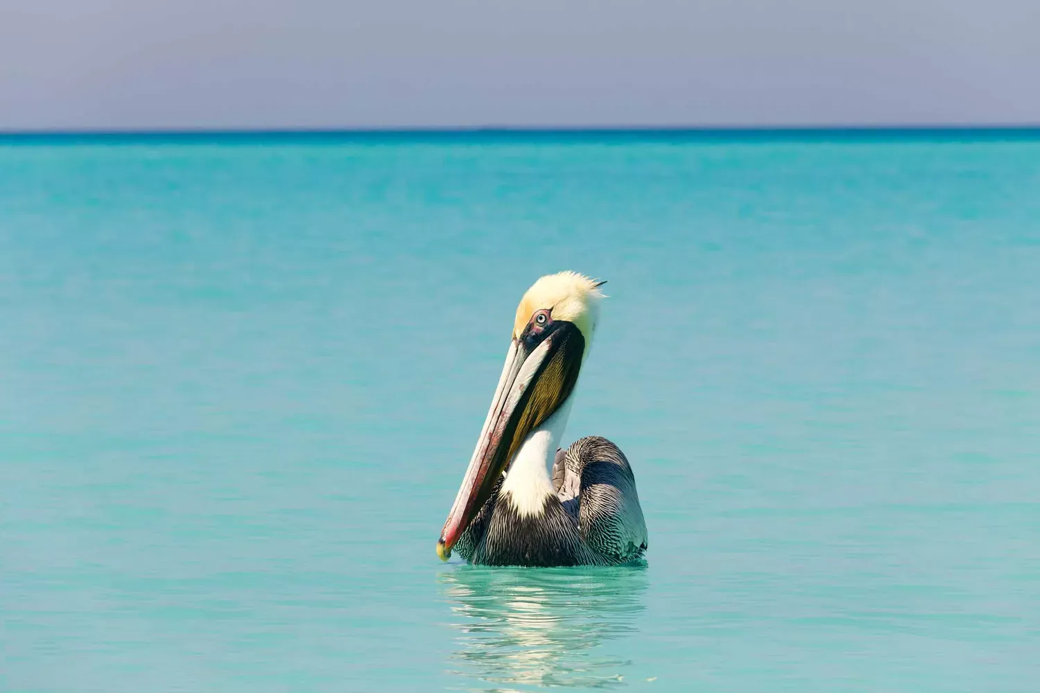 50 Years of Cancún: How the Beachfront Haven Became a Favorite Tropical Retreat