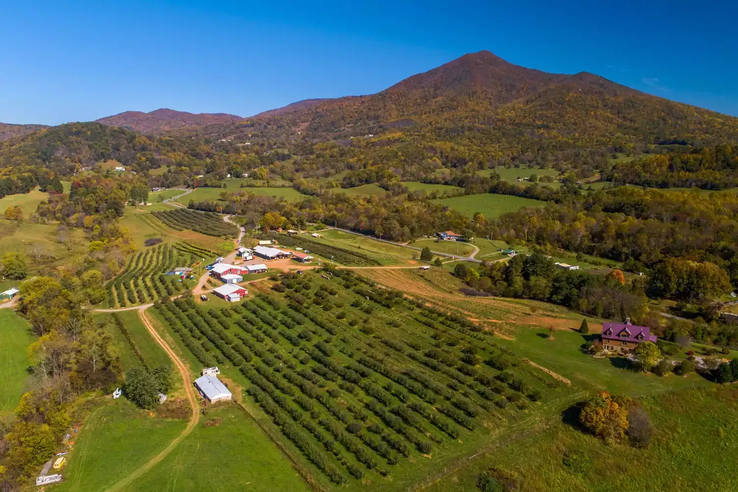 This Charming Virginia Town Is the Perfect Fall Escape — With Beautiful Foliage, Apple Picking, and Family-friendly Events