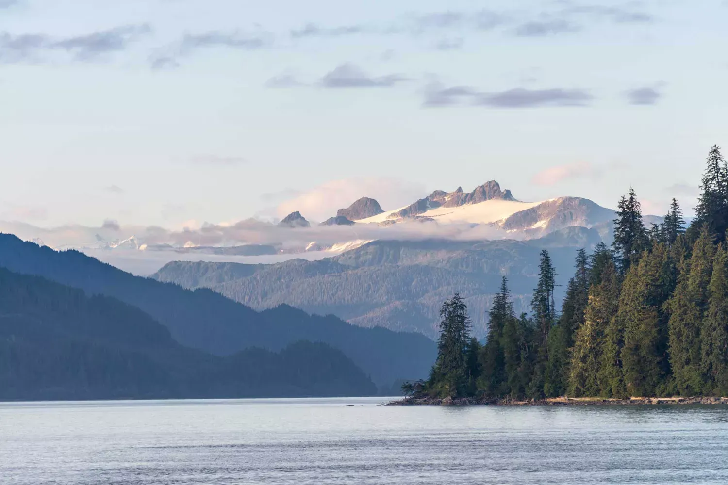 I Took an Alaskan Cruise to See Bears, Killer Whales, and Secret Beaches — Here's How You Can, Too