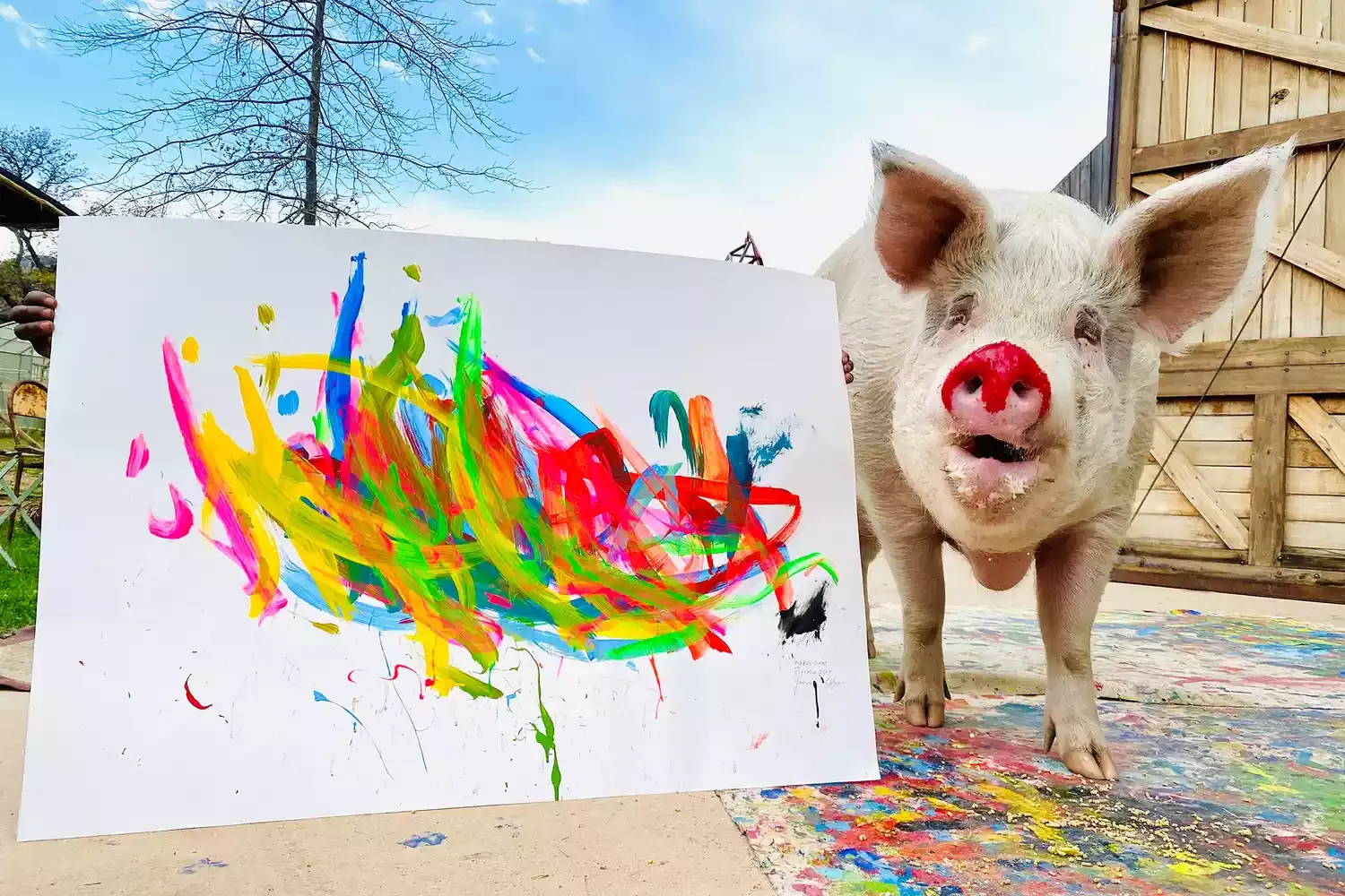 This Farm Animal Sanctuary Is Also a Hotel — and Its Resident Pig Is a World-famous Artist