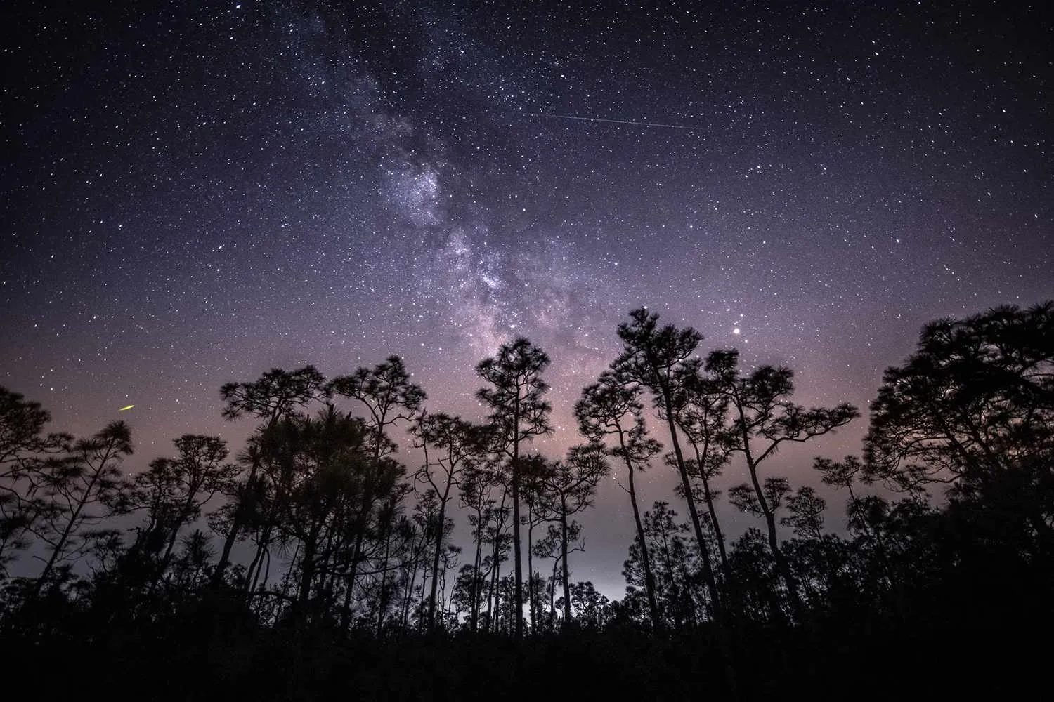 See Stars Zoom Across the Sky at 44 Miles Per Second During This Weekend's Meteor Shower