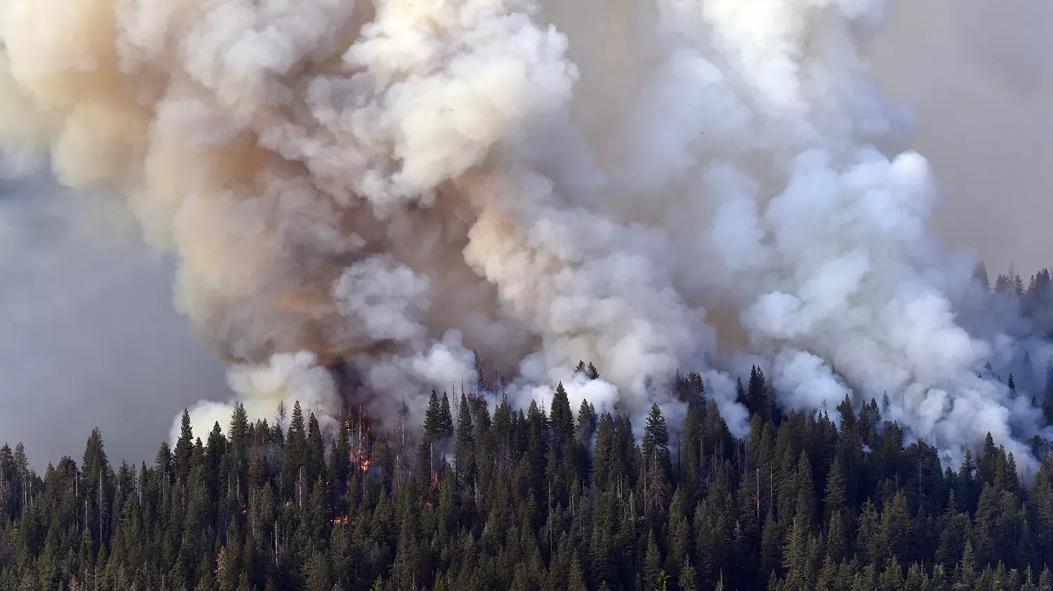 Firefighters Battle Latest Yosemite Wildfire to Protect Giant Sequoias