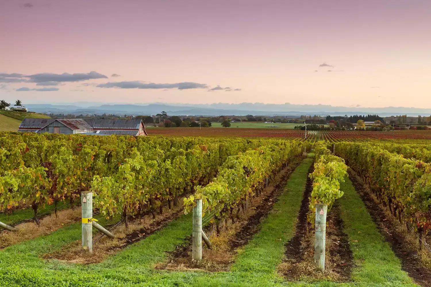 7 Places Locals Love in New Zealand, From Lakes and Vineyards to Incredible Islands