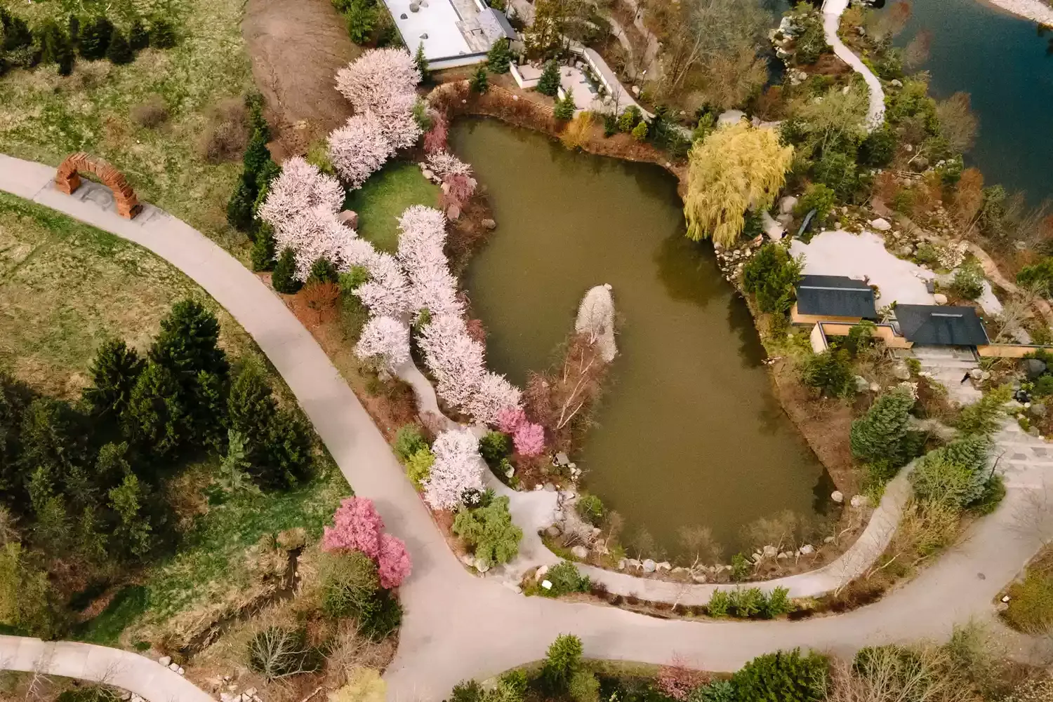 This 8-acre Japanese Botanical Garden Has One of the Best Cherry Blossom Displays in the U.S. — Here's When It Peaks