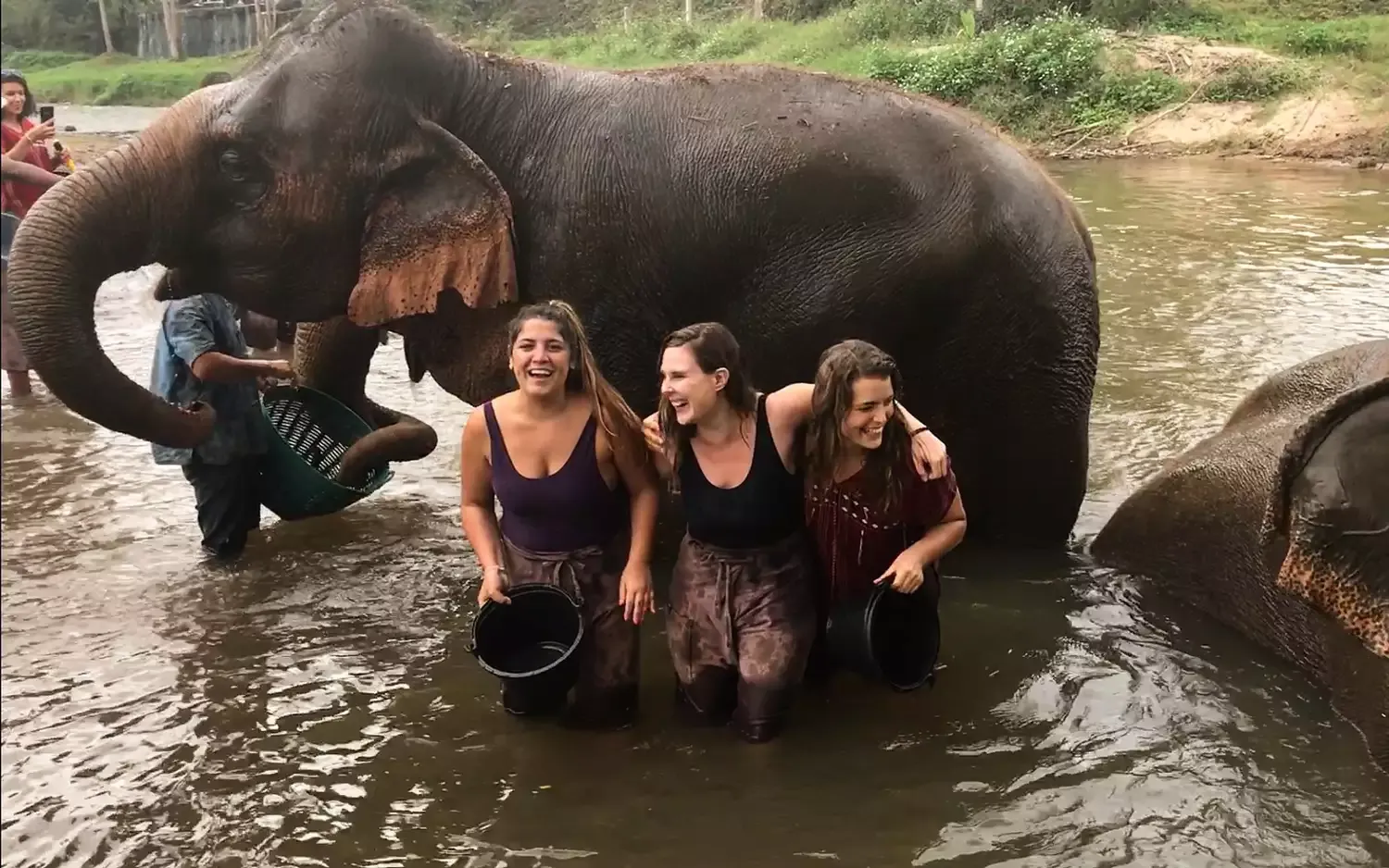 Why I'll Never Ride an Elephant — and You Shouldn't Either (Video)