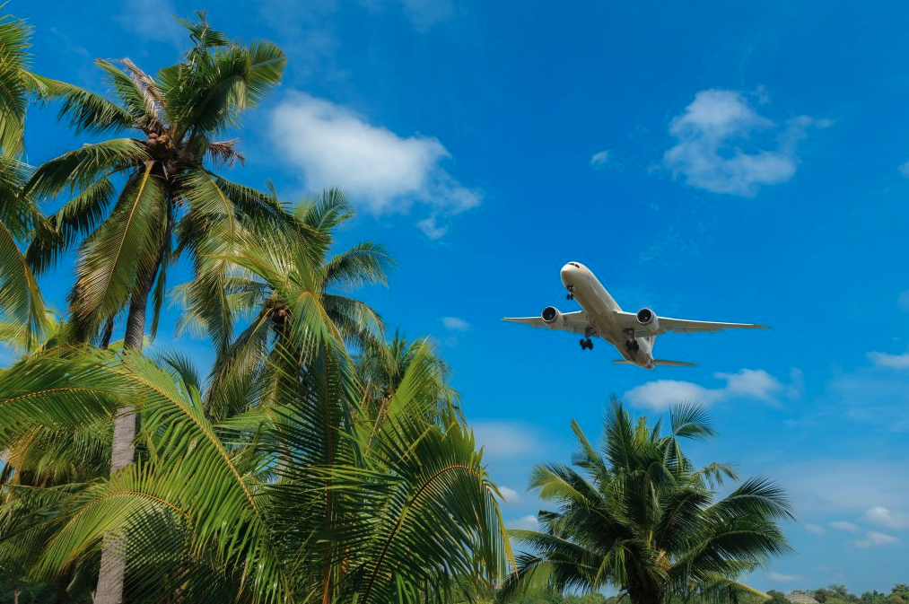 JetBlue's Winter Sale Has Flights to Florida, the Caribbean, and More Starting at $49