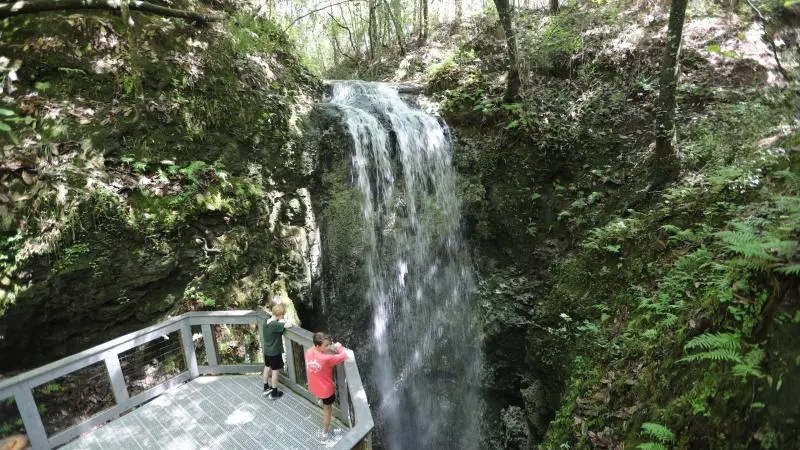 This Florida State Park Looks Like North Carolina — With Waterfalls, Beautiful Hiking Trails, and One of the Rarest Trees in the World